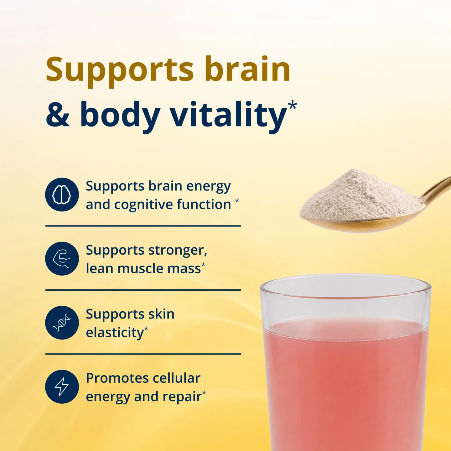 StayStrong Brain and Body PDP visual